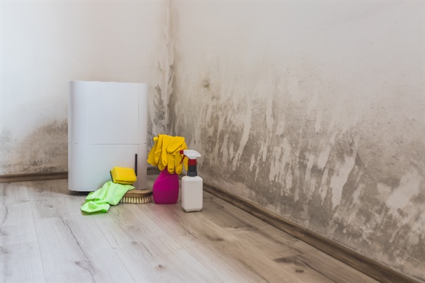 Understanding the Health Risks of Water Damage and Mold in Homes