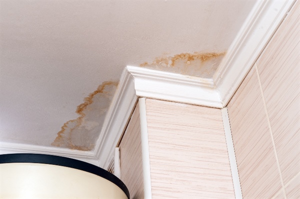 What Should You Do If Your Roof Leaks After a Storm in the Twin Cities?
